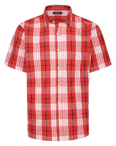 Bigdude Cut Away Collar Checked Short Sleeve Poplin Shirt Pepper Red